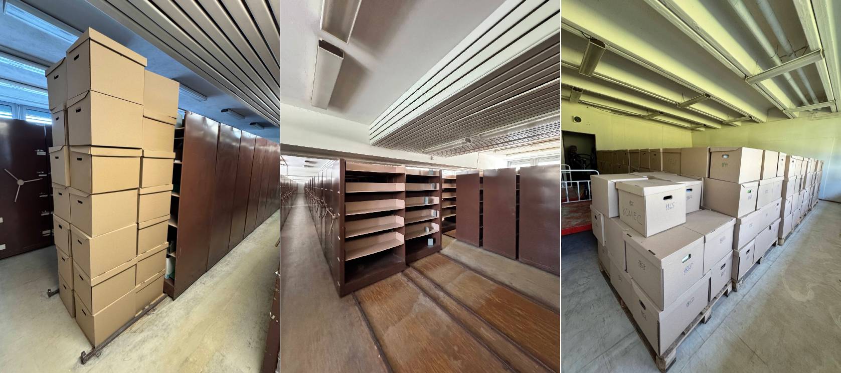 Absenčné výpožičky (BA)